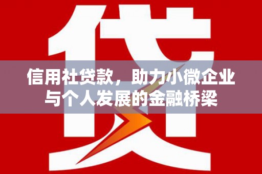 延津信用社贷款，助力小微企业与个人发展的金融桥梁