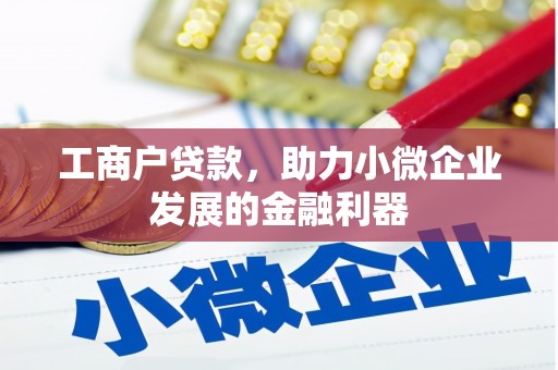 南平工商户贷款，助力小微企业发展的金融利器