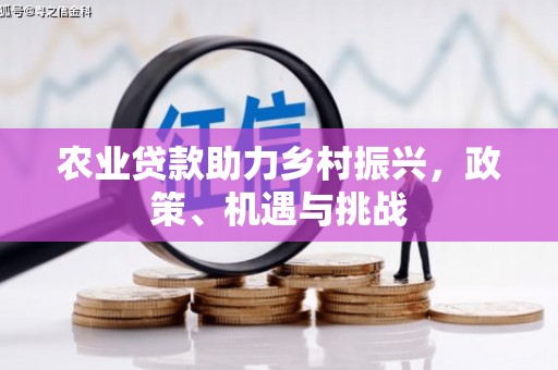 嵩县农业贷款助力乡村振兴，政策、机遇与挑战