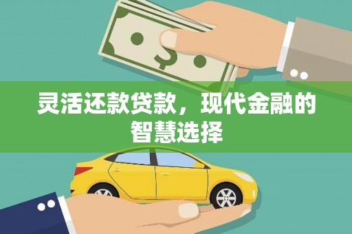 田林灵活还款贷款，现代金融的智慧选择