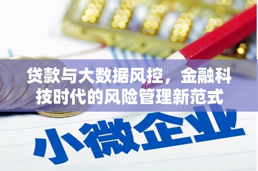 望城贷款与大数据风控，金融科技时代的风险管理新范式