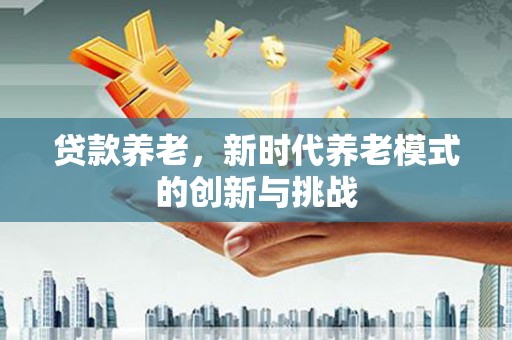 福海贷款养老，新时代养老模式的创新与挑战