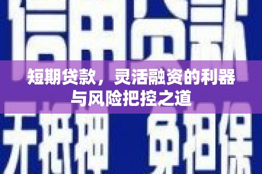 平果短期贷款，灵活融资的利器与风险把控之道
