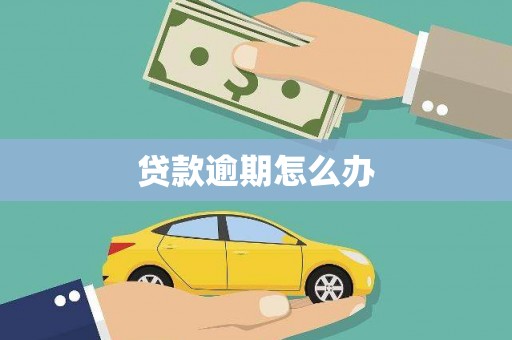 广饶贷款逾期怎么办