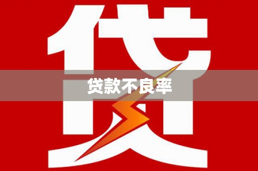 肥东贷款不良率