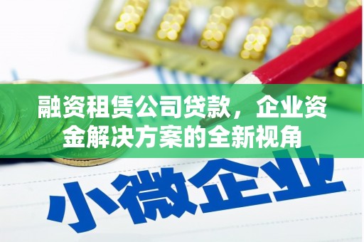 青冈融资租赁公司贷款，企业资金解决方案的全新视角