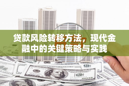 枝江贷款风险转移方法，现代金融中的关键策略与实践