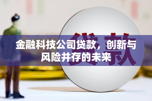 横县金融科技公司贷款，创新与风险并存的未来