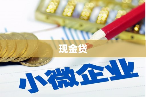 平舆现金贷
