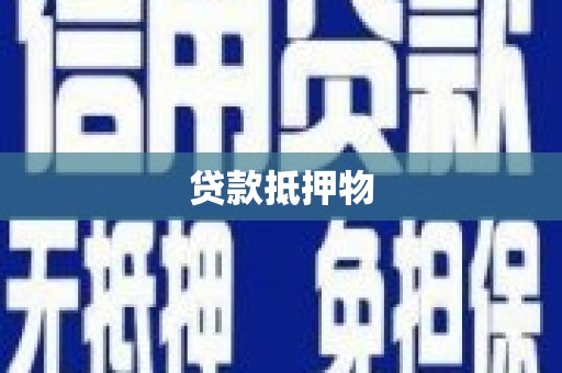 无极贷款抵押物