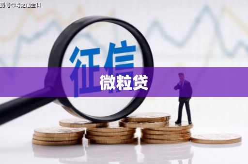 荷塘微粒贷
