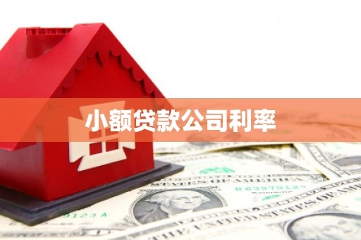 施秉小额贷款公司利率