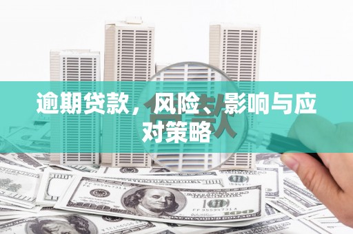 温州逾期贷款，风险、影响与应对策略