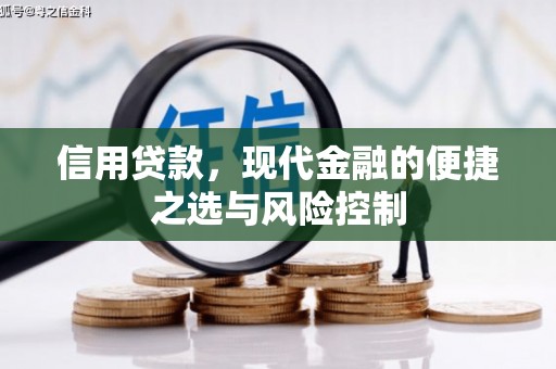 观音信用贷款，现代金融的便捷之选与风险控制