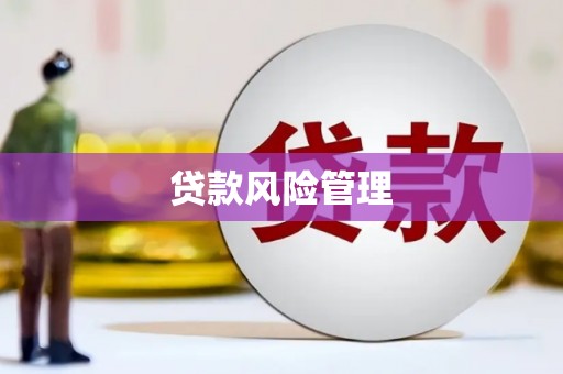 天桥贷款风险管理