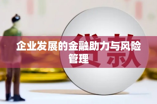 崖州企业发展的金融助力与风险管理