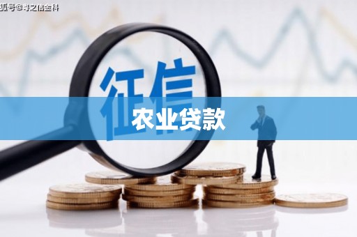 原州农业贷款