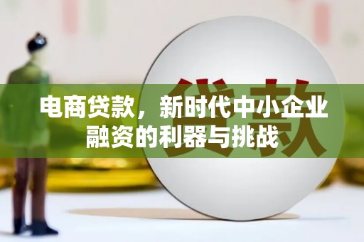 召陵电商贷款，新时代中小企业融资的利器与挑战