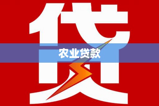 囊谦农业贷款