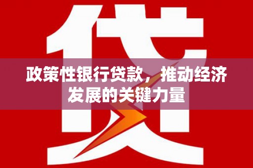 汉川政策性银行贷款，推动经济发展的关键力量
