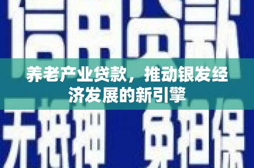 涟源养老产业贷款，推动银发经济发展的新引擎