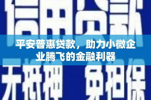 随州平安普惠贷款，助力小微企业腾飞的金融利器
