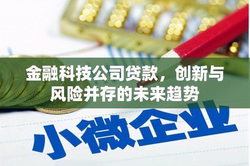 韶关金融科技公司贷款，创新与风险并存的未来趋势