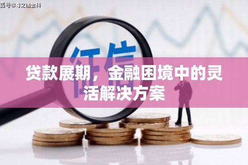 名山贷款展期，金融困境中的灵活解决方案