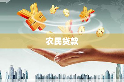 林园农民贷款