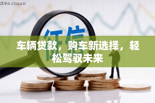 杂多车辆贷款，购车新选择，轻松驾驭未来