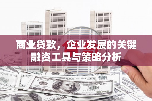 乌苏商业贷款，企业发展的关键融资工具与策略分析