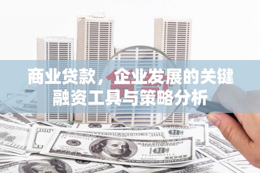维西商业贷款，企业发展的关键融资工具与策略分析