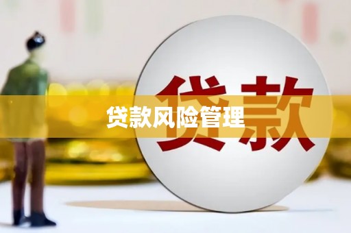 尤溪贷款风险管理