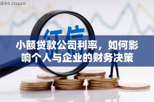 久治小额贷款公司利率，如何影响个人与企业的财务决策