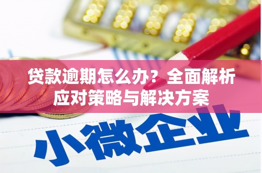 固原贷款逾期怎么办？全面解析应对策略与解决方案