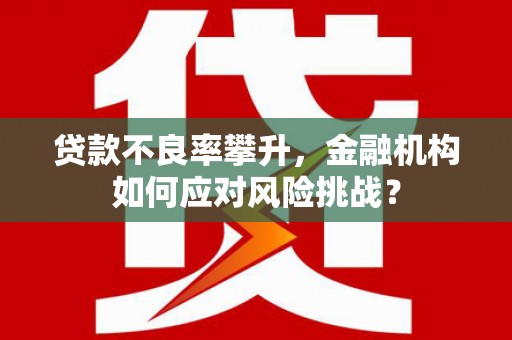 江东贷款不良率攀升，金融机构如何应对风险挑战？
