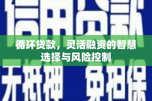 昆都仑循环贷款，灵活融资的智慧选择与风险控制