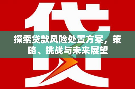 高邮探索贷款风险处置方案，策略、挑战与未来展望
