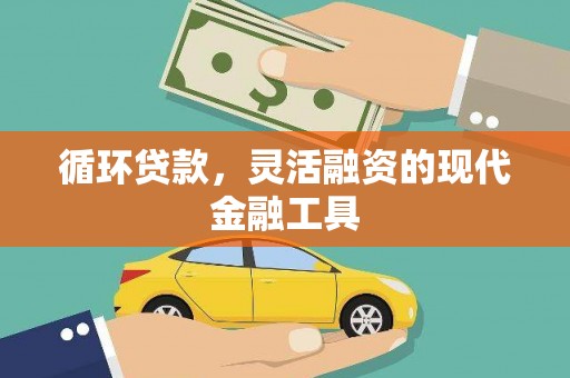 攀枝花循环贷款，灵活融资的现代金融工具