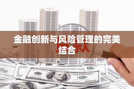 沙鹿金融创新与风险管理的完美结合