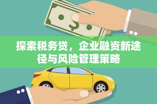 宣威探索税务贷，企业融资新途径与风险管理策略