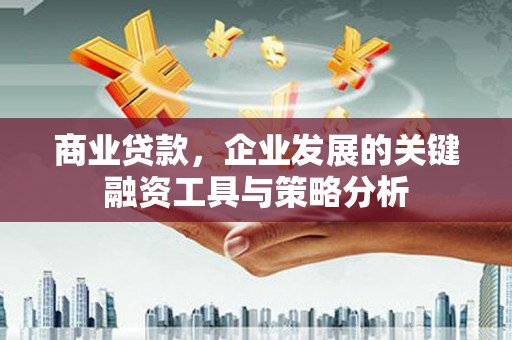 太麻里商业贷款，企业发展的关键融资工具与策略分析