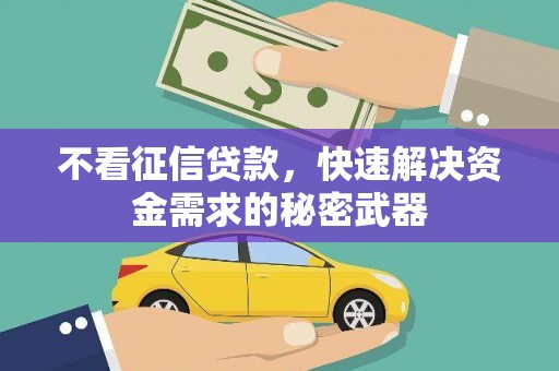 樊城不看征信贷款，快速解决资金需求的秘密武器