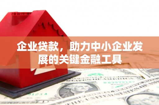 泰顺企业贷款，助力中小企业发展的关键金融工具