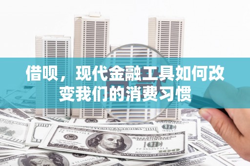 南雄借呗，现代金融工具如何改变我们的消费习惯