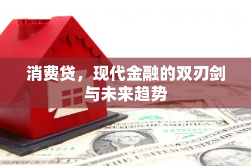 宁夏消费贷，现代金融的双刃剑与未来趋势