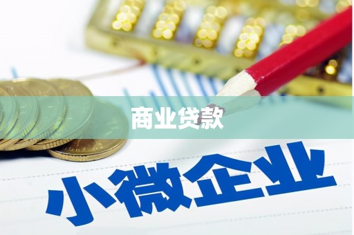 美溪商业贷款