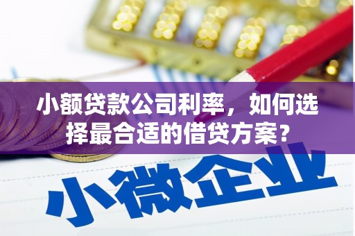 端州小额贷款公司利率，如何选择最合适的借贷方案？