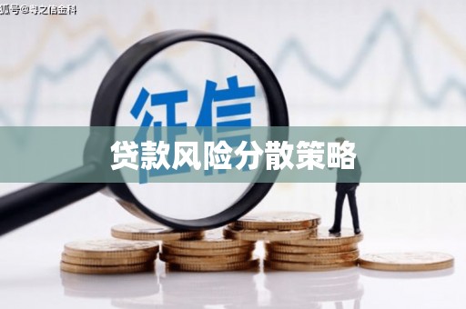 金溪贷款风险分散策略