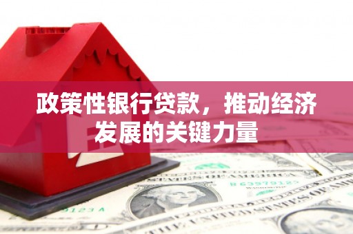 南溪政策性银行贷款，推动经济发展的关键力量